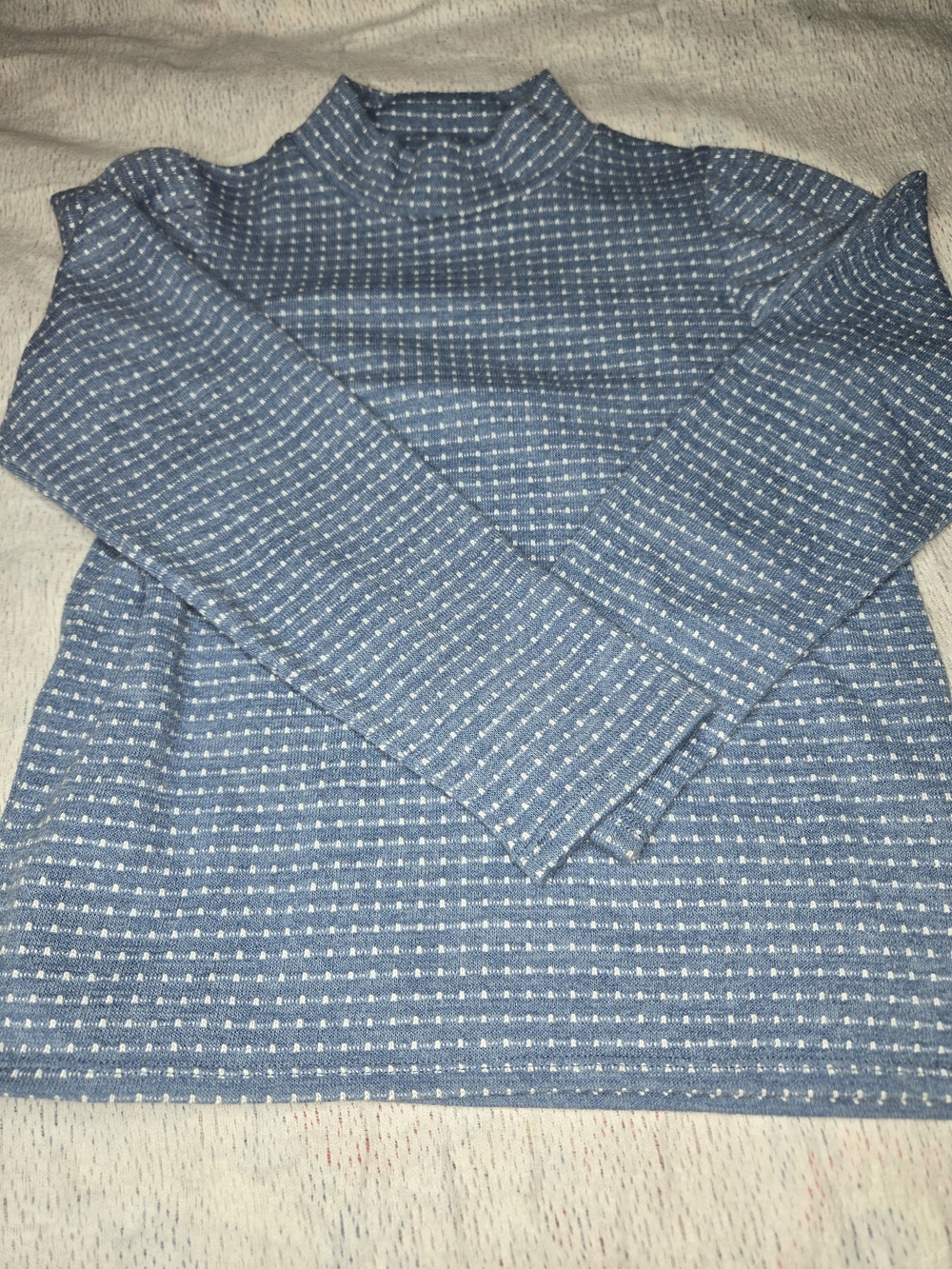 Madewell Women's Mock Blue and White Turtleneck Sweater